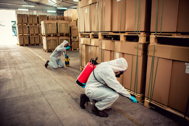 Best Cockroach Control Services  in Vail, CO