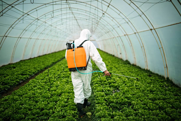 Best Mosquito Control Services  in Vail, CO