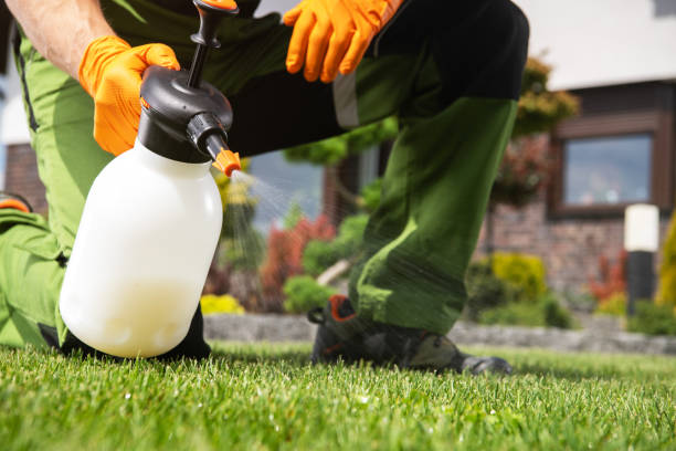 Best Affordable Pest Control Services  in Vail, CO