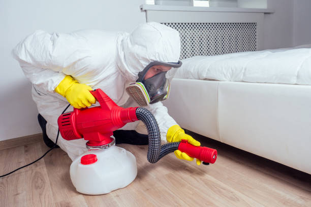 Best Local Pest Control Services  in Vail, CO