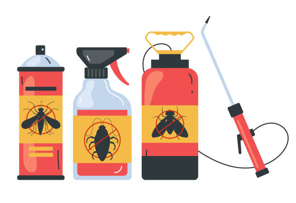 Professional Pest Control in Vail, CO