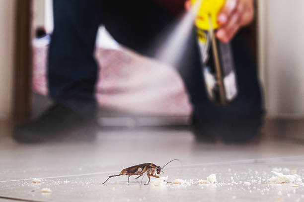 Pest Control for Restaurants in Vail, CO