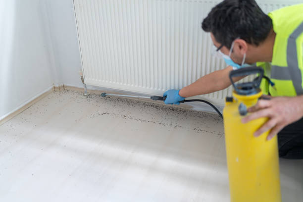 Best Affordable Pest Control Services  in Vail, CO